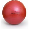 Sissel Fitlopta Securemax Ball 65 cm červená
