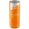 Red Bull Apricot Edition 250 ml