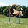 AGILITY kruh preskakovací