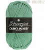 Priadza Chunky Monkey, zelená