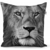 Sablio Vankúš Lev 2 - 40x40 cm