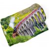 Deka Lokomotíva na moste (Rozmer: 200 x 140 cm, Podšitie baránkom: ÁNO)