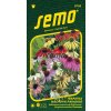 Semo Echinacea purpurová - Paradiso 12 s