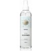 Satisfyer Cleaning & Desinfection Premium čistiaci sprej na erotické pomôcky 300 ml