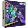 OKTO Energy Výtvarná modelovacia sada sukulenty v drevenom ráme 21x21 cm