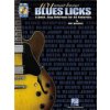 101 Must-Know Blues Licks [With CD (Audio)] (Marshall Wolf)