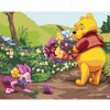 Diamondi Diamantové maľovanie - MACKO PU A PRASIATKO S KVETMI Rámovanie: vypnuté plátno na rám, Rozmer: 40x50 cm