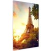 Vertikálny foto obraz akrylový Eiffelová veža Paríž 50x100 cm