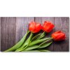 Foto obraz fotografie na skle červené tulipány 100x50 cm