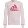 adidas Big Logo SWT Jr HM8709
