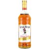 Captain Morgan Spice 35% 1 l (čistá fľaša)