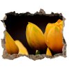 Samolepící díra nálepka Žlté tulipány 95x64 cm