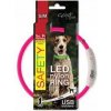 Dog Fantasy LED obojok pre psy