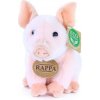 Rappa Plyšové prasa 18 cm