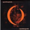 Vinyl A Perfect Circle - MER DE NOMS