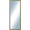 DANTIK - Zrkadlo v rámu, rozmer s rámom 60x160 cm z lišty Ferrosa zlatá (3142)