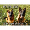 Pozorpes.sk, výstražná tabuľka (Nemecký ovčiak - dvojica)