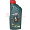 Castrol Magnatec 10W-40, 1L