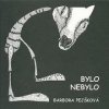 Bylo nebylo - Barbora Pejšková