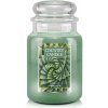 Country Candle Spirálová aloe 680 g