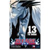 Bleach 13 (česky)