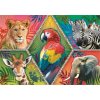 Puzzle Trefl Puzzle Animal Planet: Exotické zvieratá 1000 dielikov (10671)