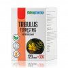 TRIBULUS TERRESTRIS EDENPharma 150 tabliet