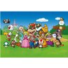 Winning Moves Puzzle - Super Mario a jeho priatelia 500 dielikov Winning Moves