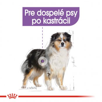 Royal Canin Medium Sterilised 12 kg