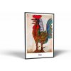 Pablo Picasso - The Rooster | Obraz Vintessia v ráme Rozmery obdĺžnik: 50x75, Rám: Čierny matný-alu