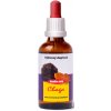 Trávníček Dračia krv - Chaga tinktúra 50 ml