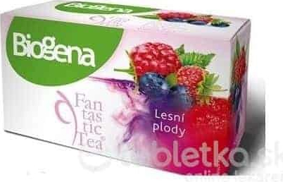Biogena Fantastic Tea Lesné plody ovocný čaj 20 x 2,2 g