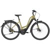 Trekingový elektrobicykel Bergamont E-Horizon N5e FH 500 Amsterdam