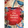 Čím čarujú vrabce