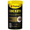 Tropical Crickets 100 ml 10 g