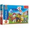 Trefl Puzzle Paw Patrol/Tlapková patrola v tráve 33x22cm 60 dielikov v krabici 21x14x4cm