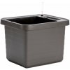 Plastia Samozavlažovací truhlík Berberis Duo 78x39x35cm, antracit