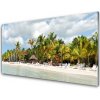 Nástenný panel Pláž palma stromy príroda 100x50 cm