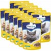 PreVital Cat kura v omáčke 12 x 100 g