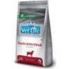 Farmina Vet Life dog Gastrointestinal 12 Kg