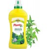 PLANTA VIT-2 Kvapalné hnojivo na ozdobné zelené rastliny 1 l
