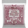 ERNIE BALL 2409