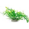 JK ANIMALS ludwigia zelená 14-17 cm