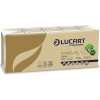 Hygienické vreckovky LUCART ECO NATURAL 90F
