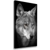 Vertikálny foto obraz na plátne Portrét vlka 50x100 cm