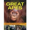 Exploring Nature: Great Apes: Discover the Exciting World of Chimps, Gorillas, Orangutans, Bonobos and More, with Over 200 Pictures (Taylor Barbara)