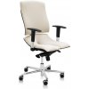 ASANA Seating Ergonomická kancelárska stolička Asana Steel Standard Farba čalúnenia: Látka Atlantic Biela 60063, Opierky rúk: s opierkami 11 farieb