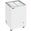 Tefcold IC102SC