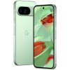 Google Pixel 9 (256GB) wintergreen