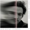 Combs Andrew - Dream Pictures / Vinyl [LP]